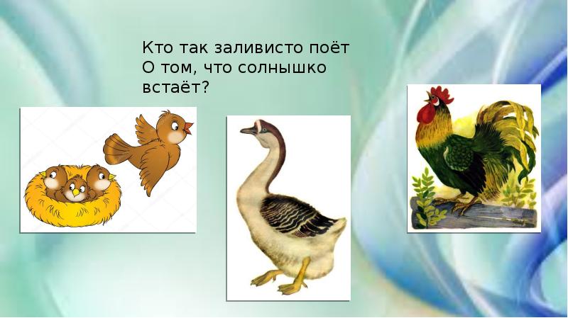 Заливистый почему и. Заливистый почему и