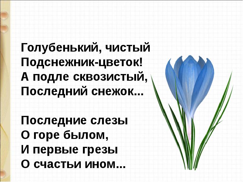 Т белозеров подснежник с маршак апрель 1 класс школа россии презентация