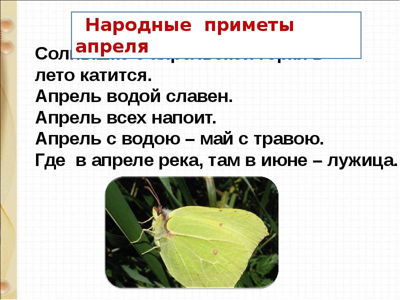 Апрель презентация. Народные приметы май с водой апрель. Апрель водой май травой 2 класс.