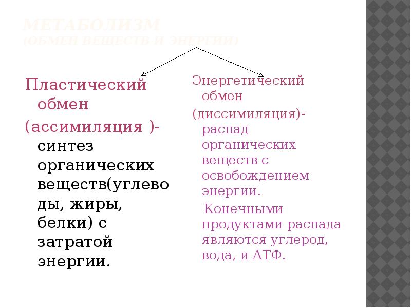 3 пластический обмен. Пластический и энергетический обмен. Конечные продукты процесса ассимиляции. Диссимиляция это пластический обмен. Конечные продукты пластического и энергетического обмена.