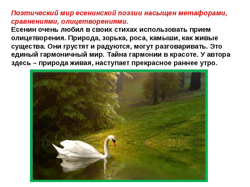 Что необычного в изображении лебедушки в стихотворении есенина лебедушка 4 класс