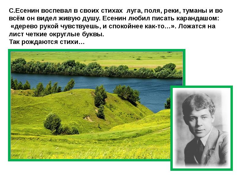 Есенин лебедушка анализ стихотворения 4. Стихотворение Есенина. Стихи Есенина. Есенин с. "стихи". Стих Есенина Лебедушка.