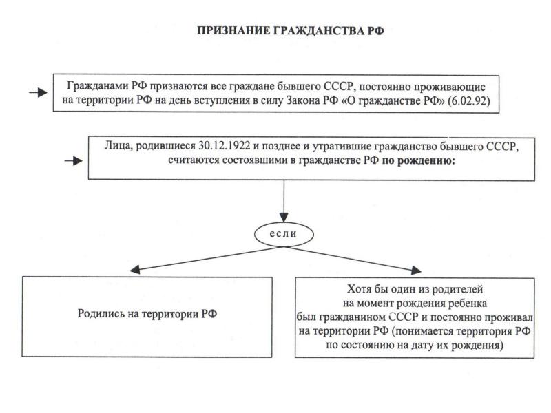 Схема получения гражданства