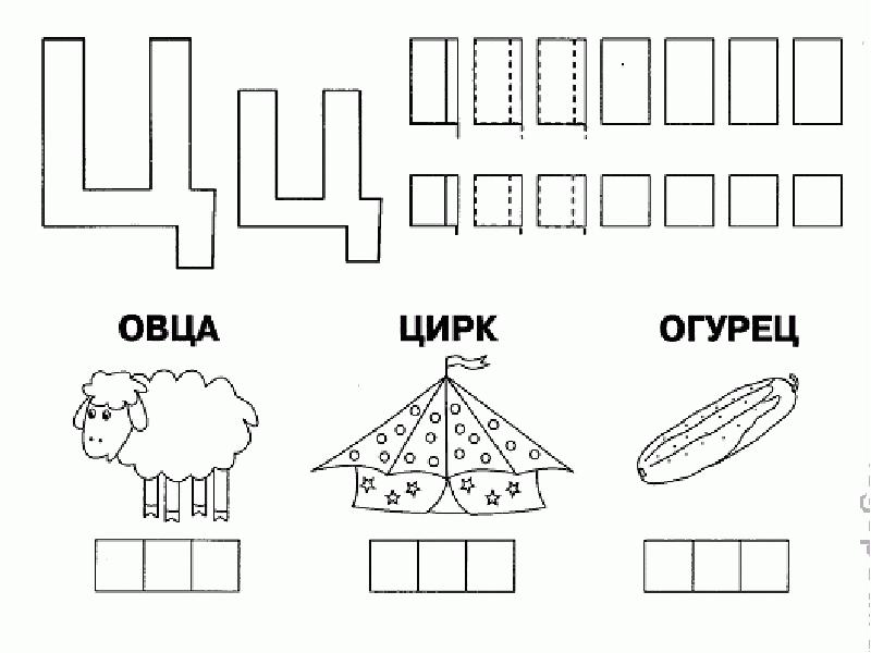 Буква ц для дошколят презентация