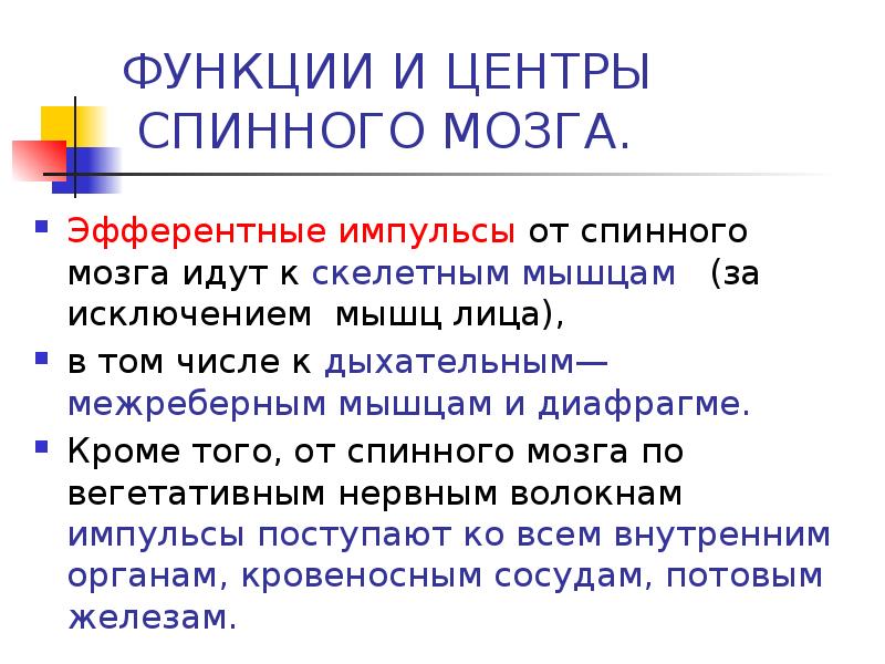 Центры спинного мозга функции. Диафрагмальный центр спинного мозга.