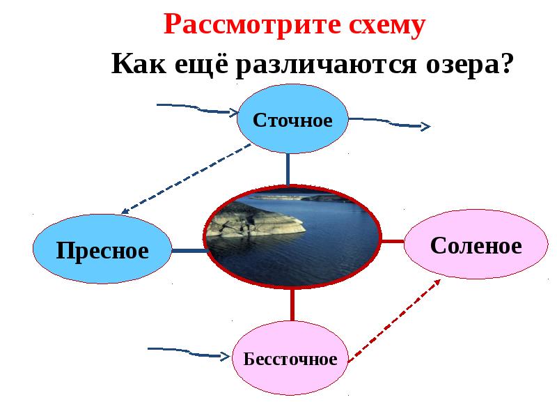 Телеграмм канал болото. Схема пресного озера. Пресные соленые озера схема. Почему сточные озера как правило пресные а бессточные соленые. Схема как озеро стало пресным.