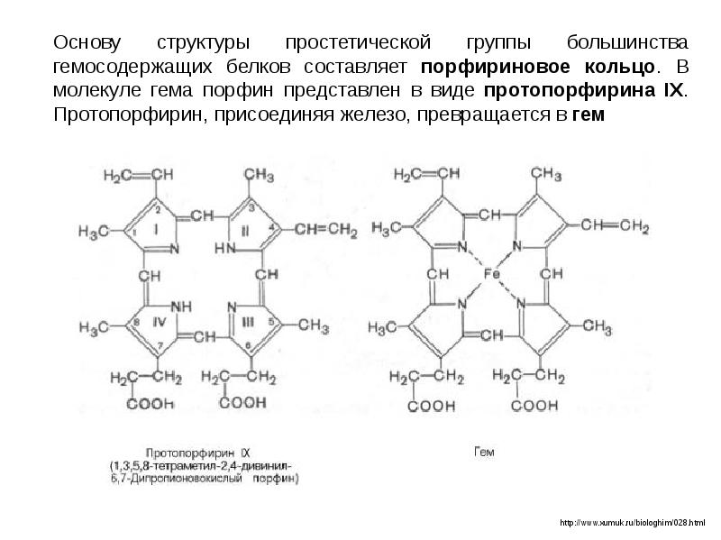 Порфириновая болезнь