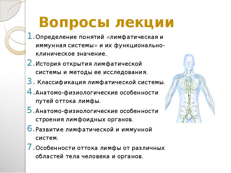 Иммунная и лимфатическая система презентация