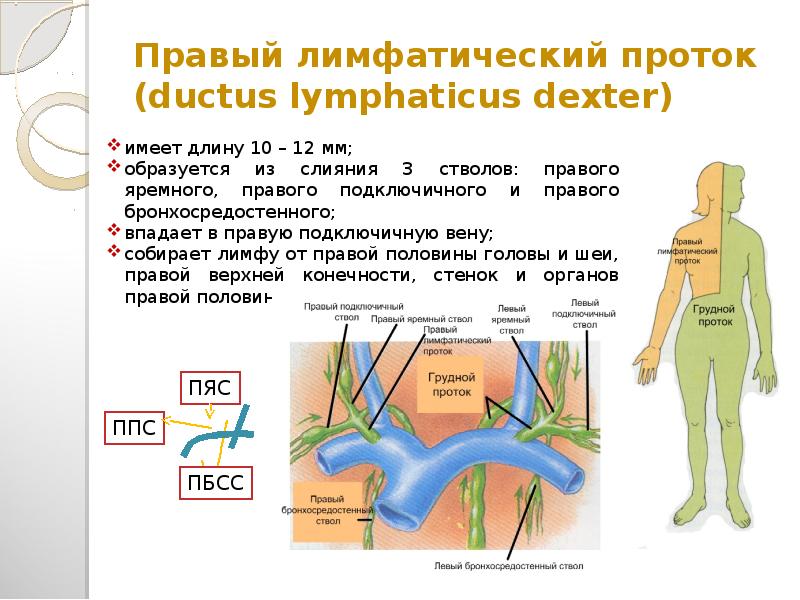 Расширение лимфатического протока