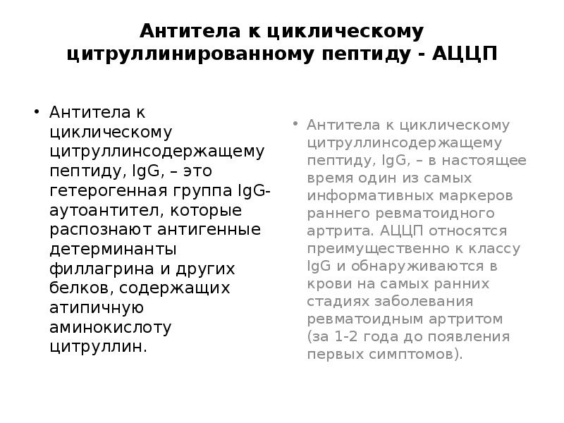 Антитела к пептидам. Антитела к цитруллин содержащему пептиду норма. Антитела к циклическому цитруллинированному пептиду АЦЦП что это. Цитрулиновый пептид антитела. Антитела к циклическому цитруллин содержащему пептиду расшифровка.