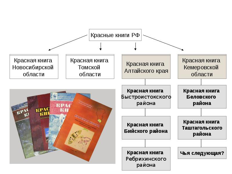 Систематика книга. Структура красной книги. Мтруктура скрасной книги Росс. Классификация книг.