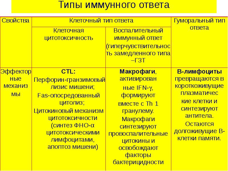 Презентация клеточный иммунный ответ