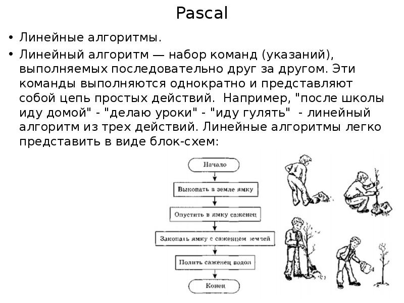 Команда указание. Линейный алгоритм. Линейный алгоритм Паскаль. Доклад на тему линейные алгоритмы. Pascal линейные алгоритмы презентация.