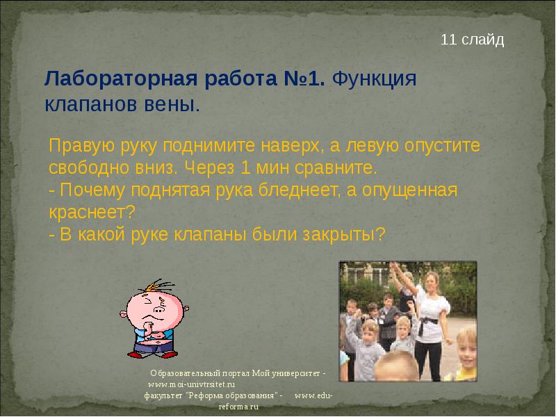 Зачем повышать. Лабораторная работа функция венозных клапанов. Почему поднятая рука побледнела. Почему поднятая рука побледнела а опущенная покраснела. Почему поднятая рука покраснела.