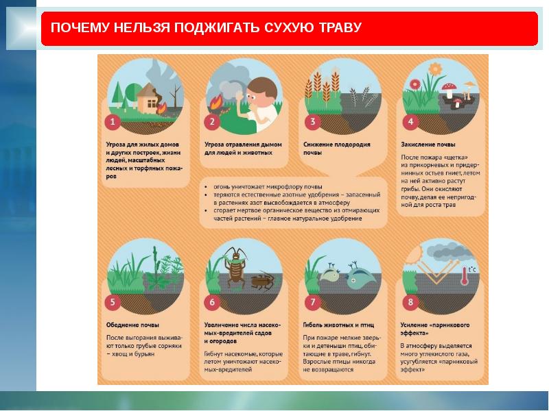 Нельзя жечь траву картинки для детей