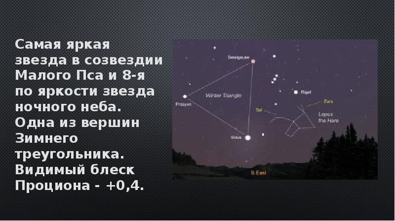 Самая яркая звезда 6. Процион Созвездие малого пса. Процион звезда в созвездии малого пса. Самая яркая звезда. Малый пес самая яркая звезда.