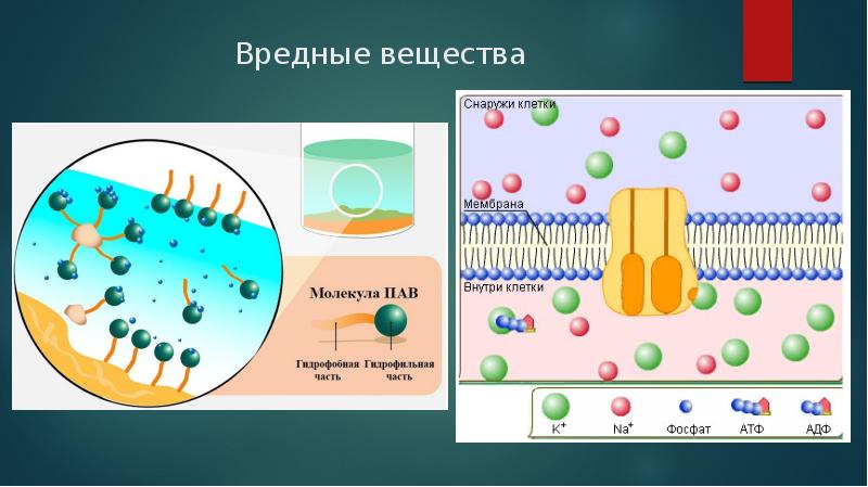 Фосфат ионы можно определить с помощью раствора. Фосфат ионы. фосфат ионы удаление хроматография.