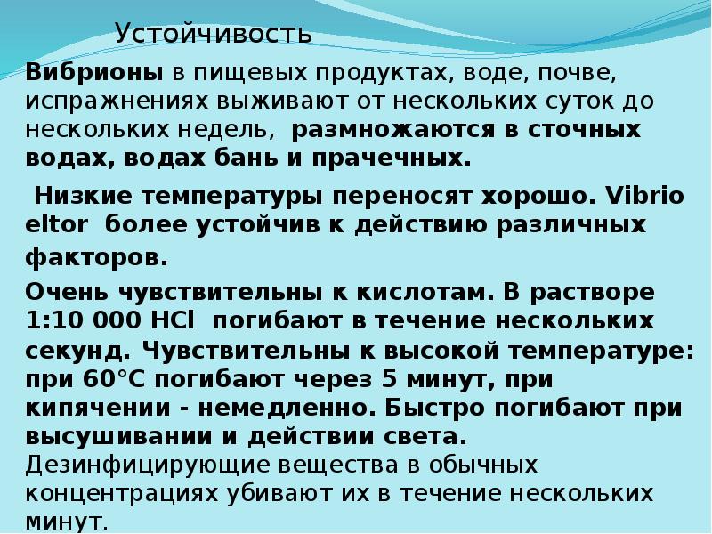 Вибрионы в пищевых продуктах, воде, почве, испражнениях выживают от нескольких суток Вибрионы в пищевых продуктах, воде, почве, испражнениях выживают от нескольких суток