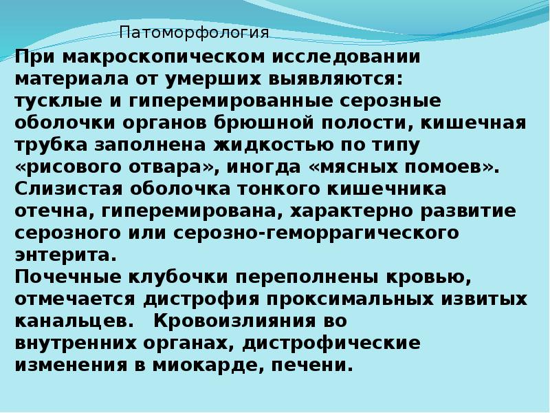 Патоморфология Патоморфология