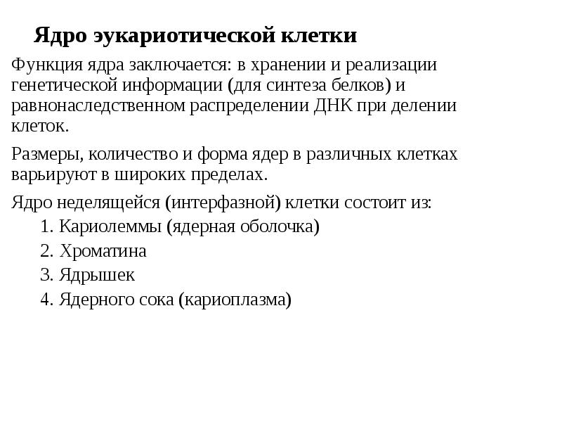 Растворение кариолеммы. Функции кариолеммы. Функция ядра связанная с реализацией генетической информации. В ядре заключается наследственная или биологическая информация.