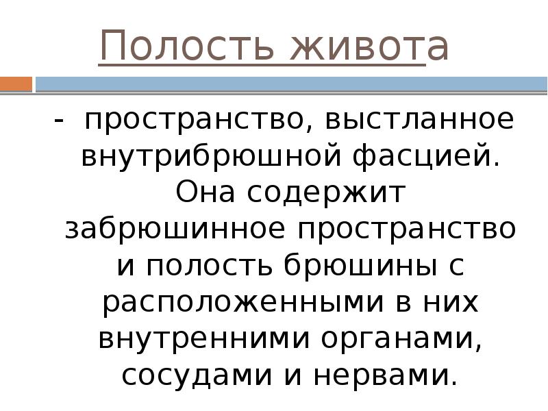 Топографическая анатомия живота презентация