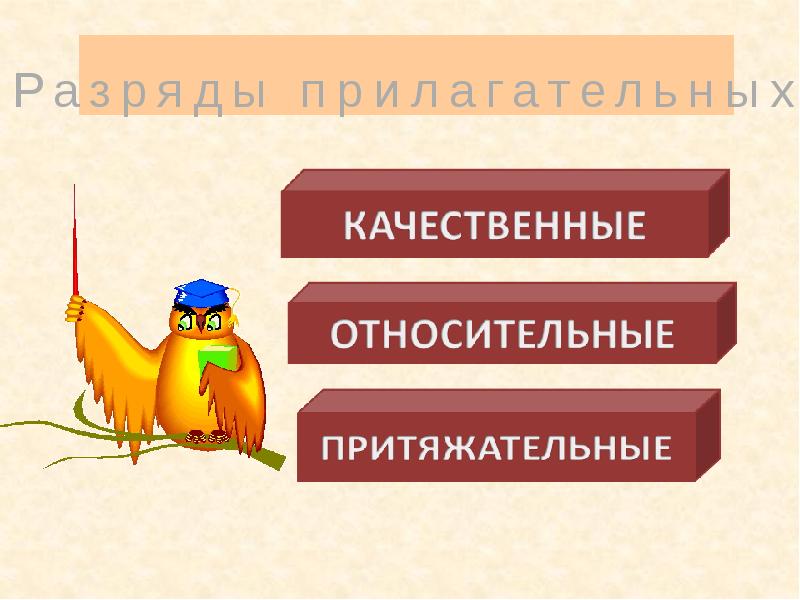 Презентация все о прилагательном 5 класс