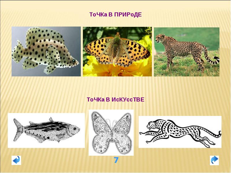 Ритм линий и пятен цвет пропорции средства выразительности 2 класс презентация и конспект