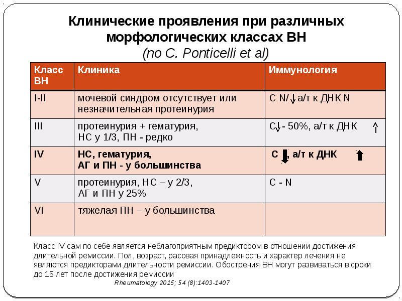 Лечение е. Волчаночный нефрит клинические рекомендации. Волчаночный нефрит клиника. Клинические рекомендации диагностика и лечение волчаночного нефрита. Схема Понтичелли.