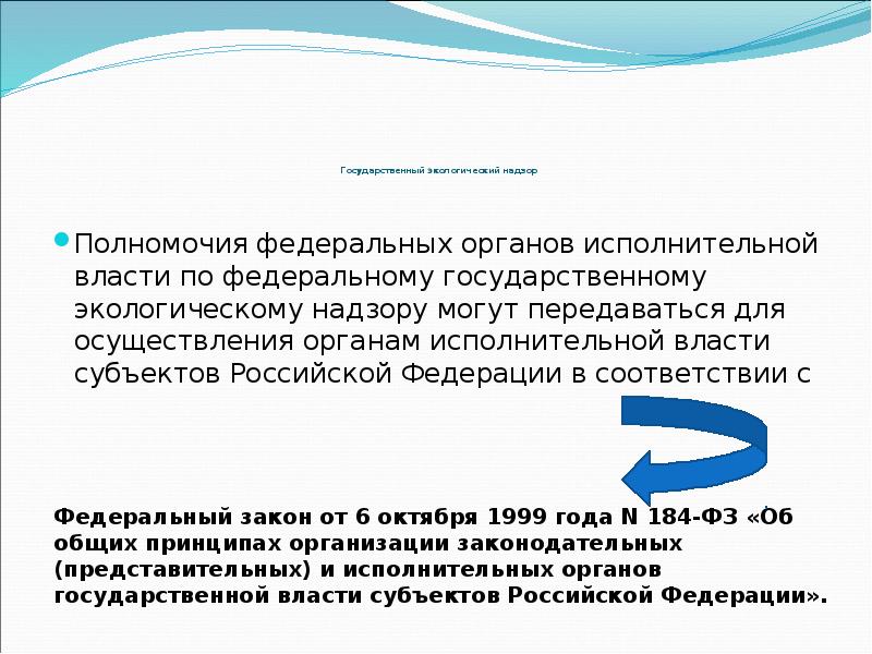 Презентация государственный экологический надзор