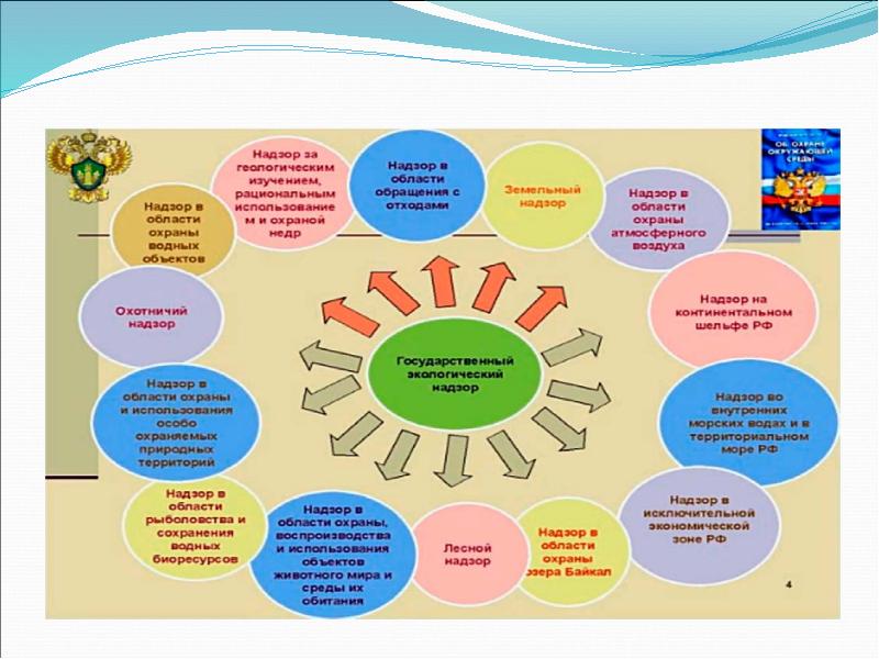 Презентация государственный экологический надзор