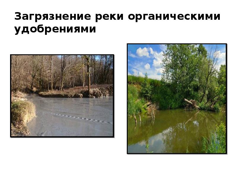 Водные экосистемы презентация