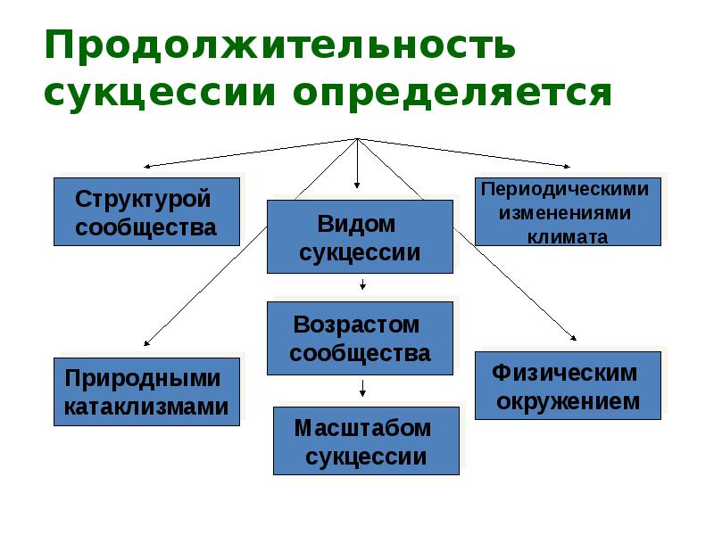 Саморазвитие экосистемы 9 класс презентация