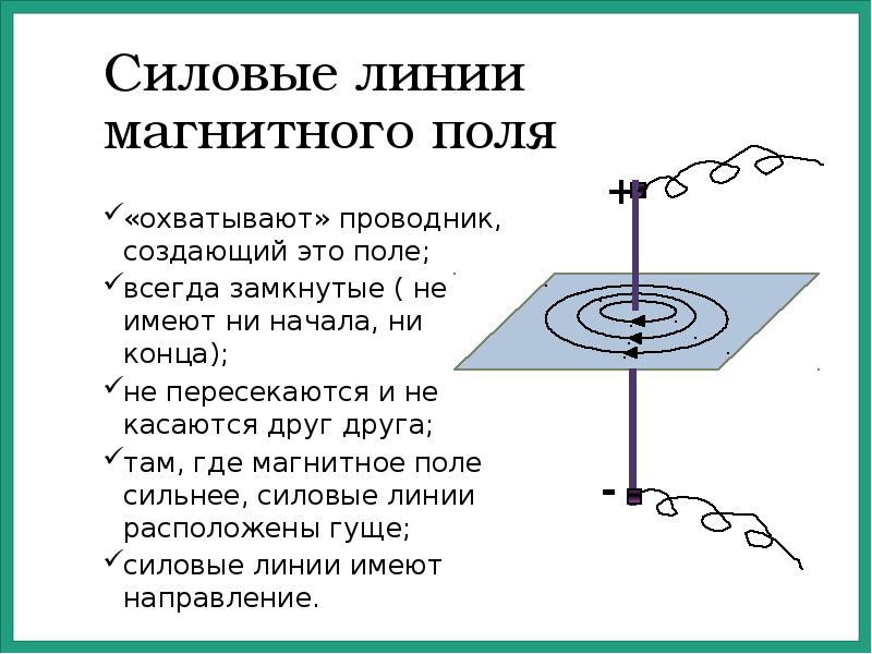 Силовая линия электрического поля это