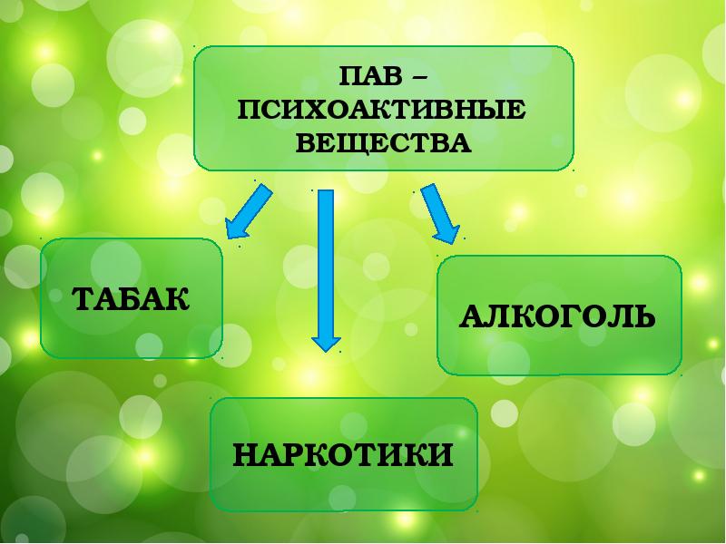 Пав презентация для студентов