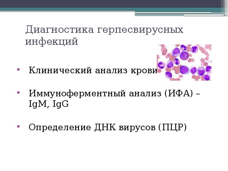 Особенности латентной герпесвирусной инфекции