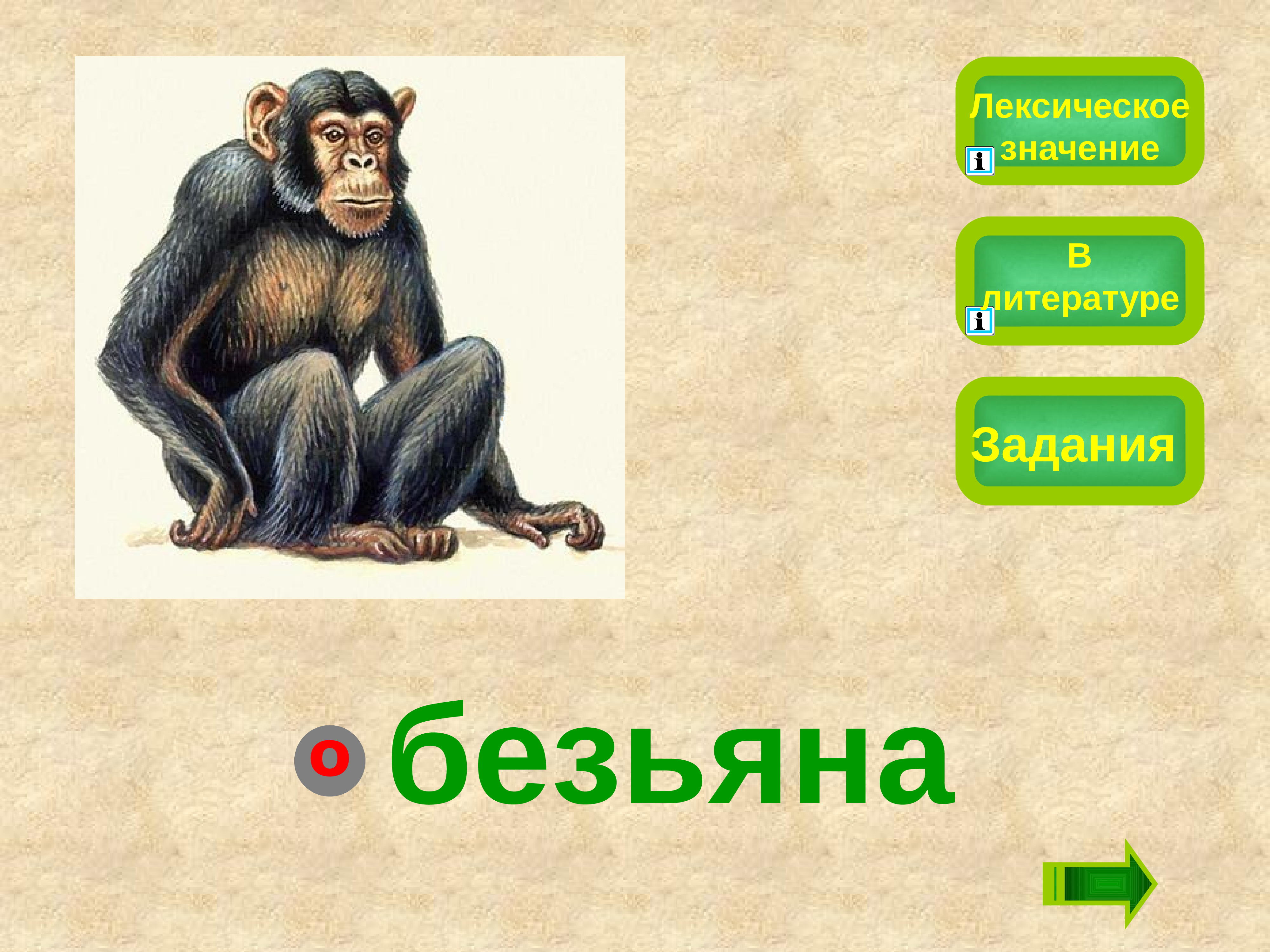 Monkey word. Предложение про обезьяну. Обезьяна словарное слово. Предложение со словом обезьяна. Словарное слово обезьяна в картинках.