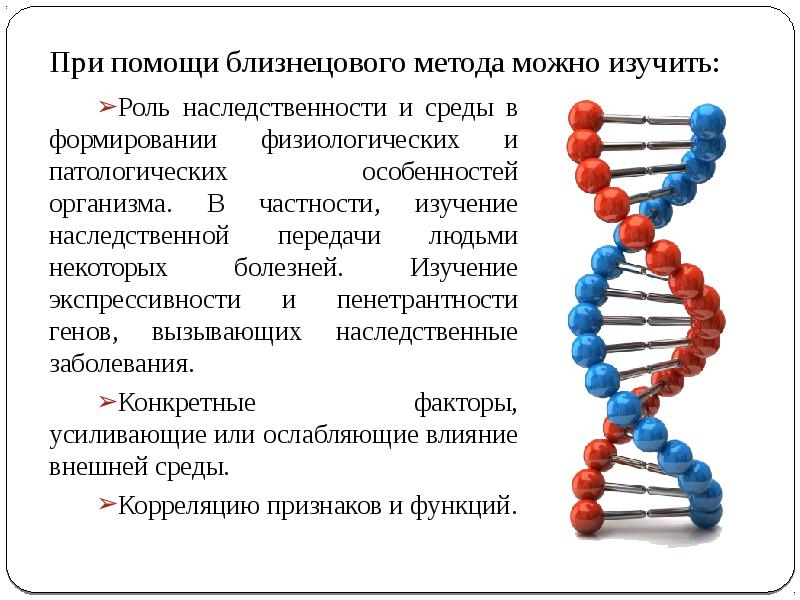 Близнецовый метод егэ. Близнецовый метод егэ