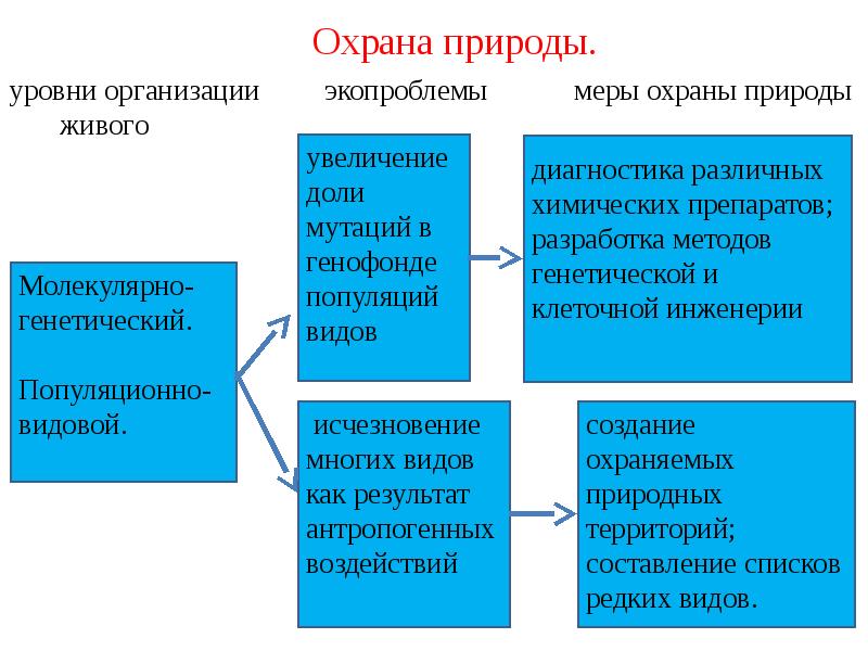 Экология как научная основа природопользования презентация