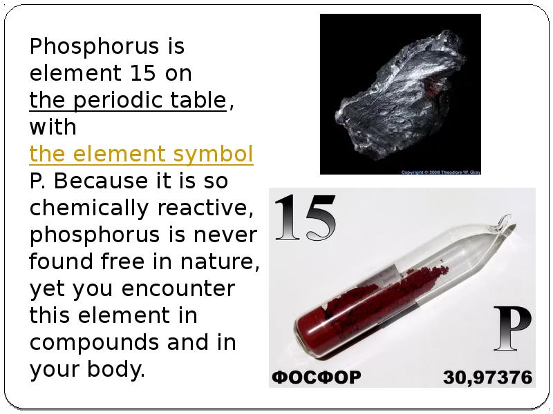 Phosphorus is element 15 on the periodic table, with the element Phosphorus is element 15 on the periodic table, with the element