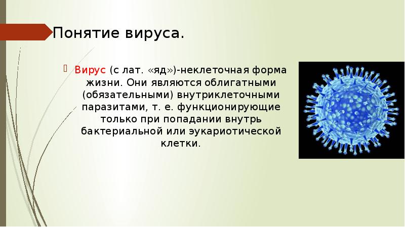 Языковые вирусы проект