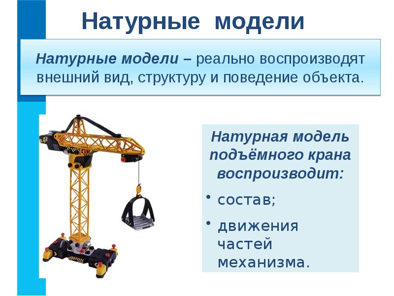 Натурные модели виды