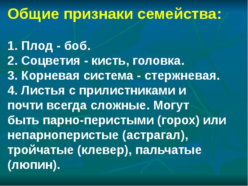 План характеристики семейства бобовые