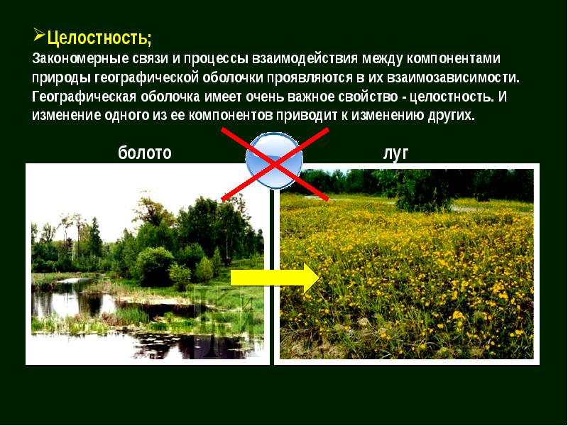 Географическая оболочка презентация 6 класс