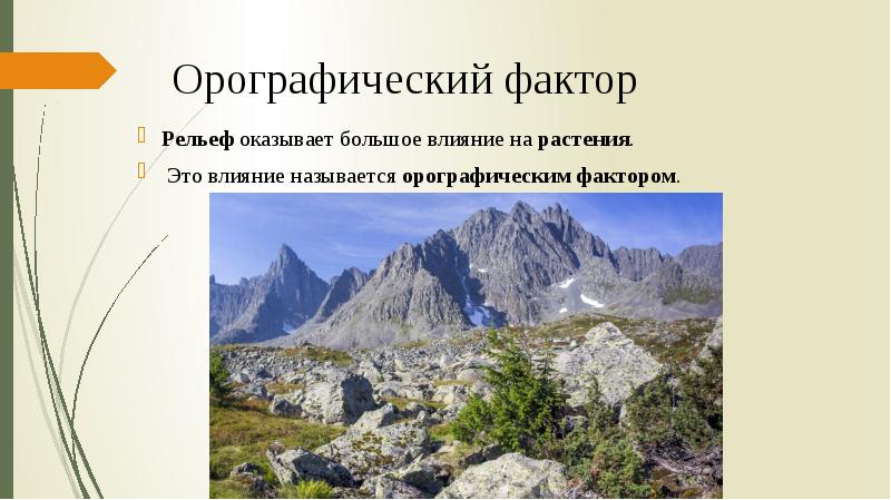 Рельеф какой фактор. Орографические факторы. Растения влияют на рельеф. Орографические факторы влияния на растения. Орографические элементы.