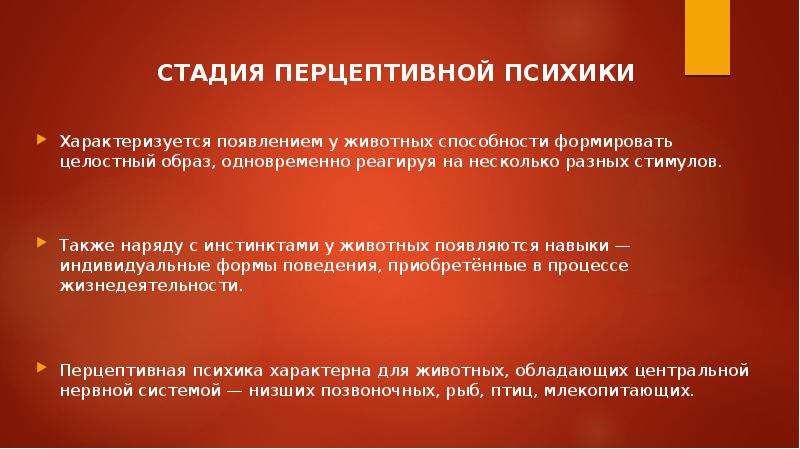 Наряду также. Стадия перцептивной психики. Перцептивная стадия развития психики. Перцептивная психика животных. Перцептивный уровень развития психики.