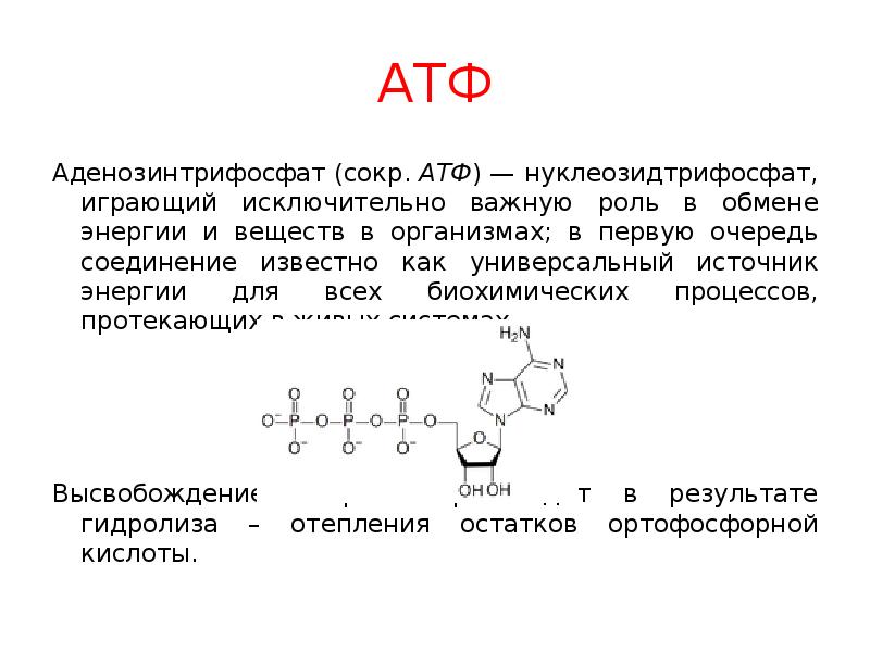 Атф показания. Роль АТФ биохимия. Аминокислота плюс АТФ. АТФ формула биохимия. АТФ структура и функции.