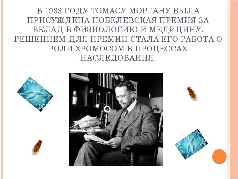 Томас хант морган (1866 – 1945). Положения теории томаса моргана. За открытие хромосомной теории нобелевскую премию получил. Второй этап развития генетики. Теория роджера сперри.