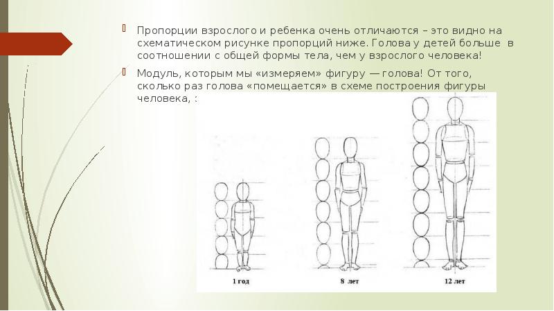 Пропорции фигуры ребенка рисунок