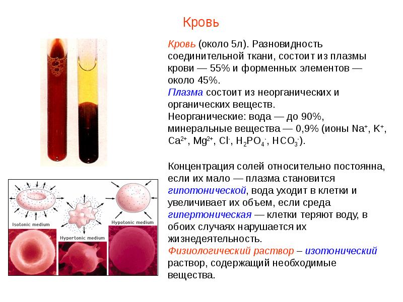 Плазма крови презентация