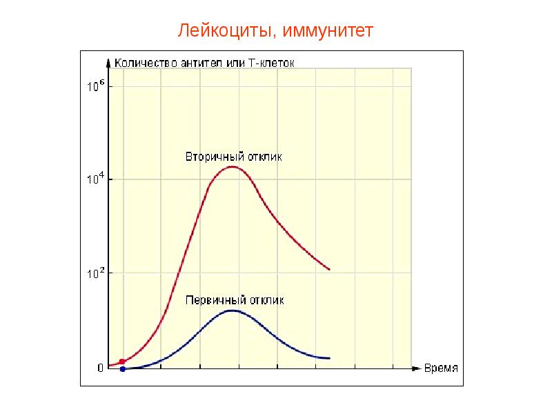 Презентация кровь пименов